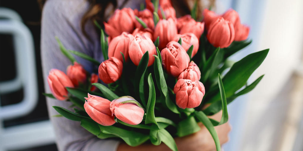 Mother's Day flowers, salmon pink tulips.