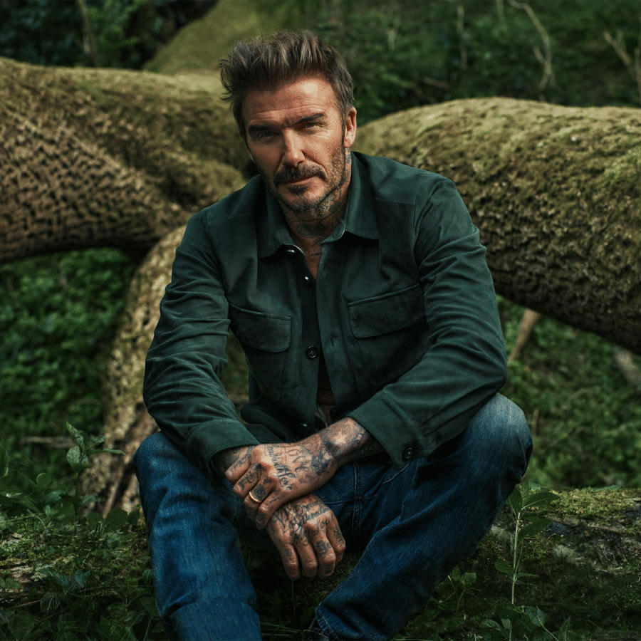 David Beckham